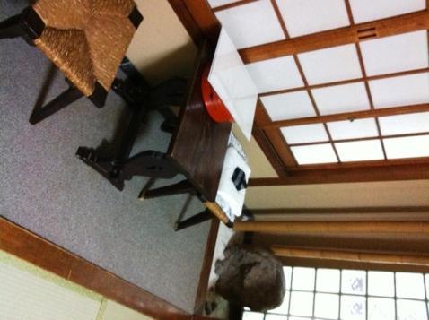 Ryokan Kyoka เกียวโต ภายนอก รูปภาพ